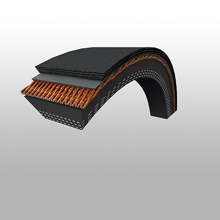 Raw Edge Belt - 9.5 , 13 , 17