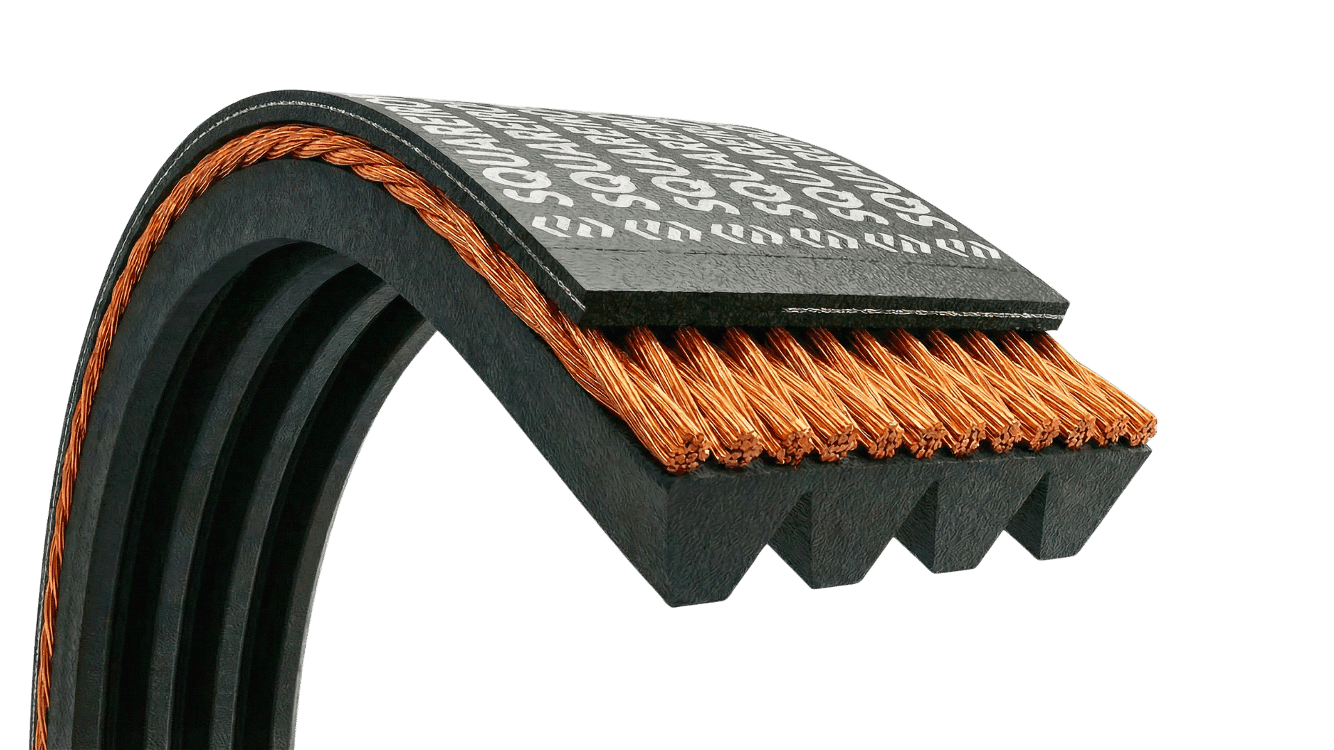 Cutaway multi-ribbed belt showing the cloth cover, copper-colored tensile cords, and longitudinal ribs.